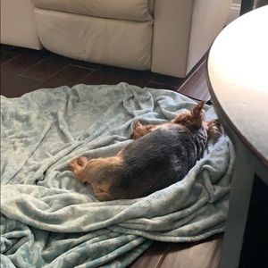 Meet your Posher, Charles